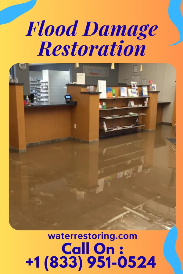Flood Damage Restoration in Stonega, VA