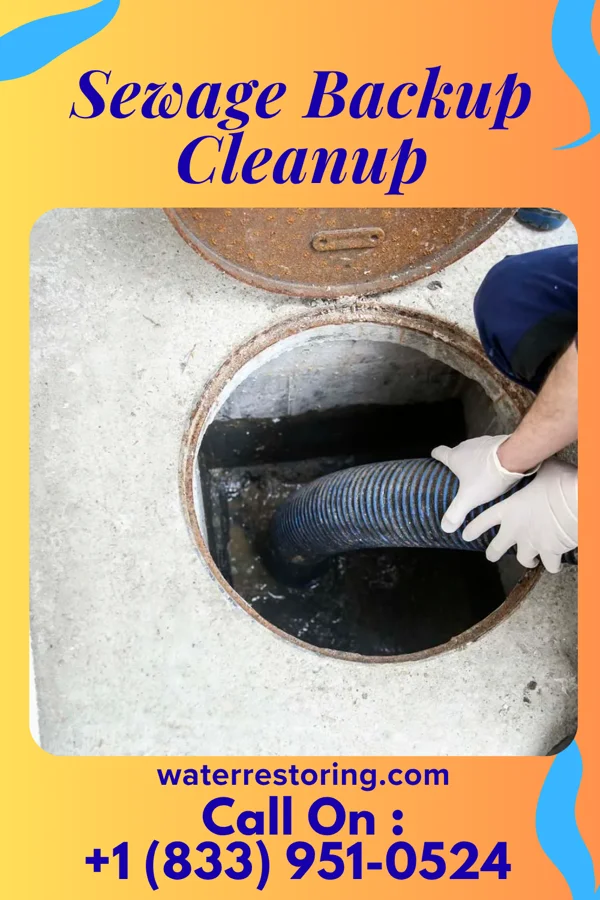 Sewage Backup Cleanup in Stonega, VA