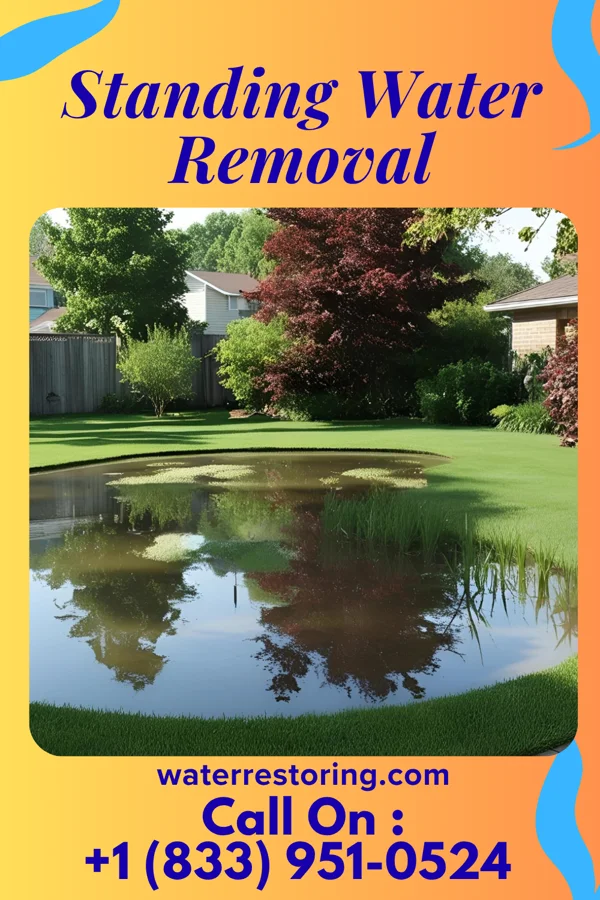 Standing Water Removal in Stonega, VA